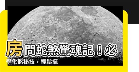 房間蛇煞化解|居家風水｜住得更健康！運勢自然好！主臥室必看的15 